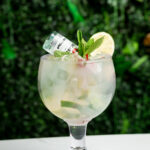 Ronjito