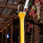 18oz Yard Happy Hour